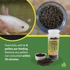image:imageJoshs Frogs Juvenile Axolotl Bites 325 oz