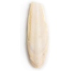 image:imageJoshs Frogs Sepia Bones 2 Pack