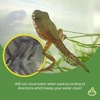 image:imageJoshs Frogs Tree Frog amp Toad Tadpole Food 175 oz35 Ounce Pack of 1