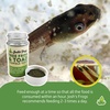 image:imageJoshs Frogs Tree Frog amp Toad Tadpole Food 175 oz35 Ounce Pack of 1