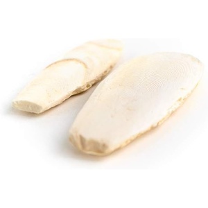 image:imageJoshs Frogs Sepia Bones 2 Pack