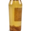 image:imageJoshs Frogs Vinegar Eel  Turbatrix aceti Culture 5oz