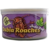 image:imageJoshs Frogs Canned Dubia Roaches 35g