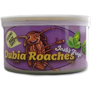 image:imageJoshs Frogs Canned Dubia Roaches 35g