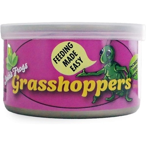 image:imageJoshs Frogs Canned Grasshoppers 35g