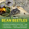image:imageJoshs Frogs Bean Beetle Culture 16 oz