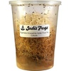 image:imageJoshs Frogs Drosophila Melanogaster Fruit Fly Culture 32 oz  ProducingBlack Hydei