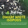 image:imageJoshs Frogs Dwarf Tropical White Isopods 25 ct100 Count Pack of 1