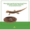 image:imageJoshs Frogs Dwarf Tropical White Isopods 25 ct8 Ounce Pack of 1