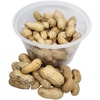 image:imageJoshs Frogs Peanut Beetle Culture 16 Oz