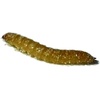 image:imageJoshs Frogs Rice Flour Beetle Culture 16 oz