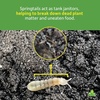 image:imageJoshs Frogs Temperate Springtail Collembola 8 oz Culture