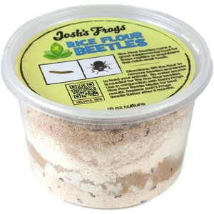 image:imageJoshs Frogs Rice Flour Beetle Culture 16 oz