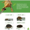 image:imageJoshs Frogs 14  38 Small Dubia Roaches 25 Count1 Count Pack of 50