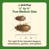 image:imageJoshs Frogs Medium Dubia Roaches Live Feeder for Reptiles 25 Count1 Count Pack of 1000
