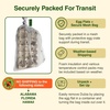 image:imageJoshs Frogs Medium Dubia Roaches Live Feeder for Reptiles 25 Count1 Count Pack of 250