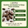 image:imageJoshs Frogs Medium Dubia Roaches Live Feeder for Reptiles 25 Count1 Count Pack of 250