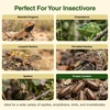 image:imageJoshs Frogs Medium Dubia Roaches Live Feeder for Reptiles 25 Count1 Count Pack of 50