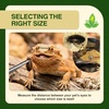 image:imageJoshs Frogs Medium Dubia Roaches Live Feeder for Reptiles 25 Count1 Count Pack of 50