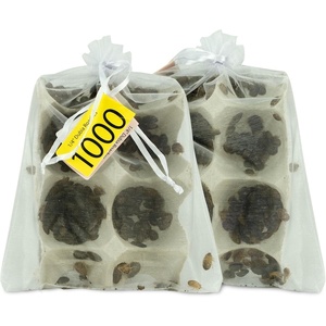 image:imageJoshs Frogs 14  38 Small Dubia Roaches 25 Count1 Count Pack of 1000