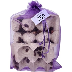 image:imageJoshs Frogs 34  1 Large Dubia Roaches 25 Count1 Count Pack of 250