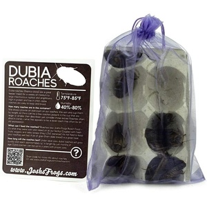 image:imageJoshs Frogs Adult Female Dubia Roach 10 Count10 Count Pack of 1