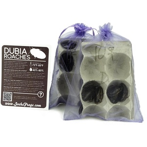 image:imageJoshs Frogs Adult Female Dubia Roach 10 Count25 Count Pack of 1