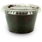 image:imageJoshs Frogs Black Soldier Fly Larvae 50 Count Medium1 Count Pack of 50