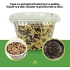 image:imageJoshs Frogs House Fly Pupae 1000 Count1 Count Pack of 50