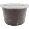 image:imageJoshs Frogs Black Soldier Fly Larvae 50 Count  Large1 Count Pack of 1000