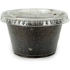 image:imageJoshs Frogs Black Soldier Fly Larvae 50 Count  Large1 Count Pack of 50