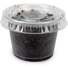 image:imageJoshs Frogs Black Soldier Fly Larvae 50 Count  Small1 Count Pack of 50