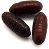 image:imageJoshs Frogs House Fly Pupae 1000 Count1 Count Pack of 250
