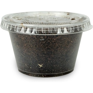 image:imageJoshs Frogs Black Soldier Fly Larvae 50 Count  Large1 Count Pack of 50