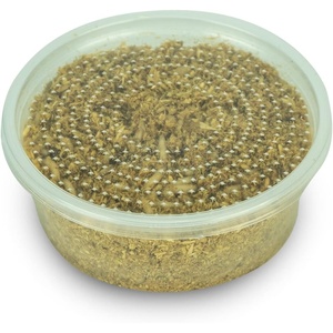 image:imageJoshs Frogs Blue Bottle Fly Spikes Reptile Feeder Insects 50 Count1000 Count