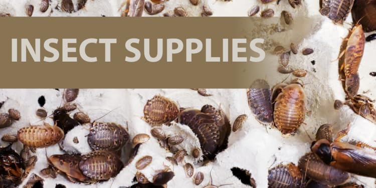 Josh’s Frogs | Bioactive Vivarium & Amphibian Supplies,Build Your Own Tropical Ecosystem at Home
