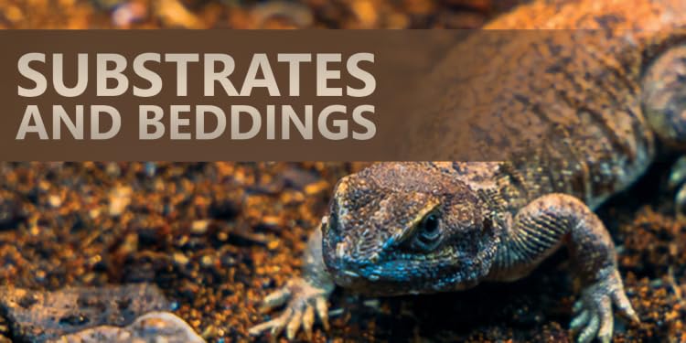 Josh’s Frogs | Bioactive Vivarium & Amphibian Supplies,Build Your Own Tropical Ecosystem at Home