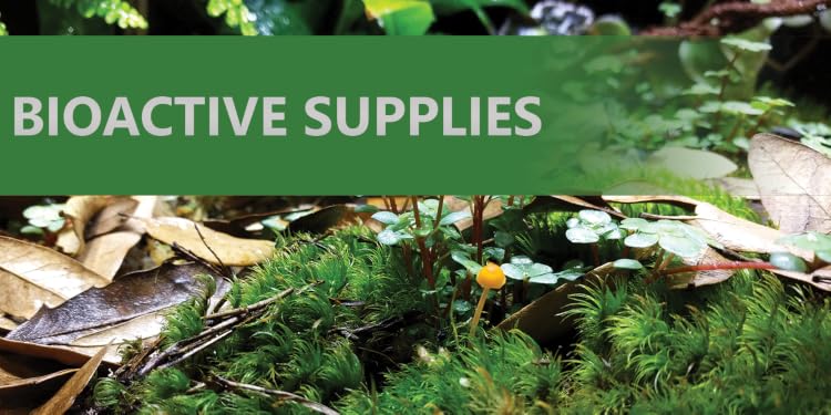 Josh’s Frogs | Bioactive Vivarium & Amphibian Supplies,Build Your Own Tropical Ecosystem at Home