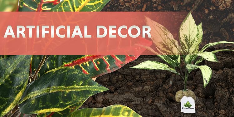 Josh’s Frogs | Bioactive Vivarium & Amphibian Supplies,Build Your Own Tropical Ecosystem at Home