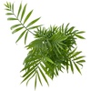 image:imageChamaedorea elegans  Neanthe Bella Parlor Palm4 Pot