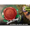 image:imageJoshs Frogs Epipremnum aureum Pothos N JoyJade