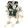 image:imageSprig amp Stone Ceropegia woodii variegata Variegated String of Hearts