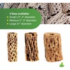 image:imageJoshs Frogs Cholla Skeleton Wood 6 Long Medium 23 Diameter