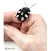 image:imageJoshs Frogs Domino Roach Therea petiveriana  10 Nymphs