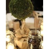 image:imageJoshs Frogs Dried Sheet Moss 1 Gallon Bag