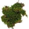 image:imageJoshs Frogs Dried Sheet Moss 1 Gallon Bag
