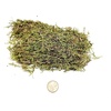 image:imageJoshs Frogs Dried Sheet Moss 1 Gallon Bag