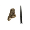 image:imageJoshs Frogs Individual Cork Flats SmallSmall