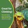image:imageJoshs Frogs Manzanita Wood SmallMedium