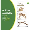 image:imageJoshs Frogs Manzanita Wood SmallSmall